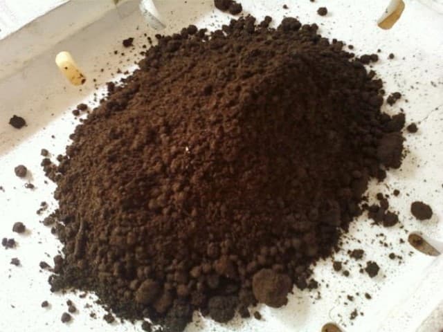 Phân trùn quế: Công dụng, cách làm & Sử dụng bón cây hiệu quả