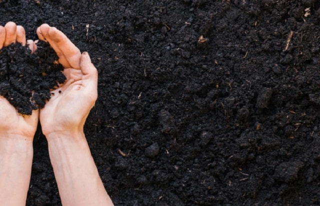 Một số kỹ thuật xử lý trong quá trình ủ phân compost bà con nên chú ý