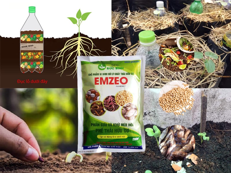 Cách ủ và sử dụng phân compost tại nhà hiệu quả