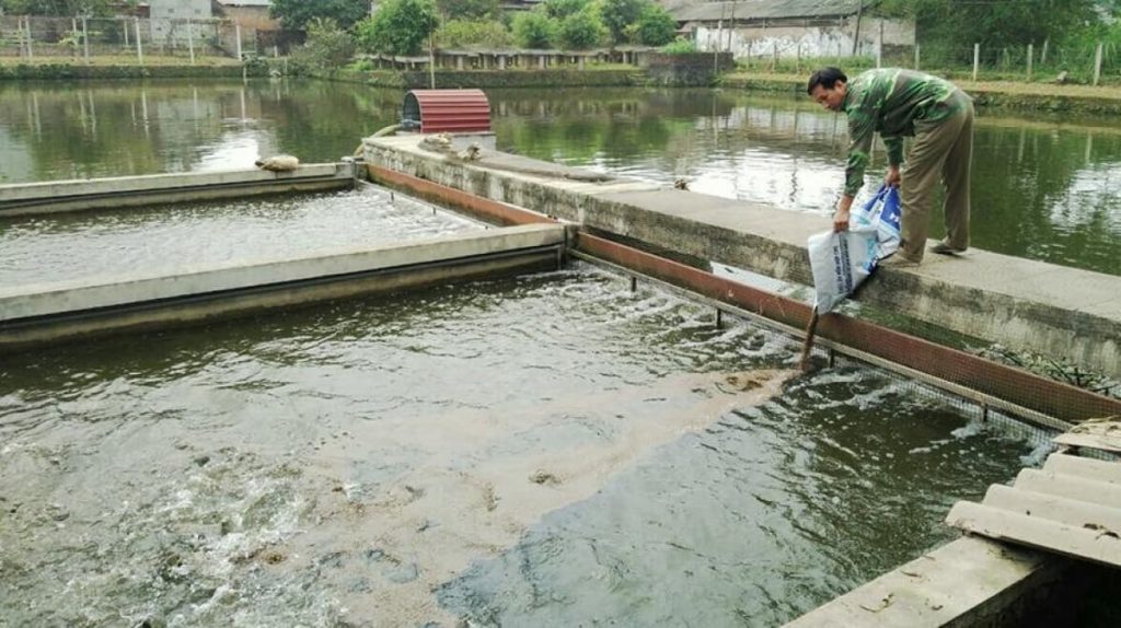 1. Lợi ích xử khi sử dụng vi sinh xử lý đáy ao