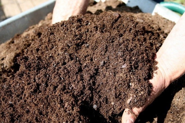 Quy trình kỹ thuật cách ủ phân compost