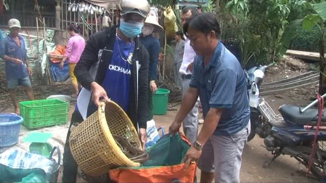 Thời điểm và phương pháp thu hoạch lươn