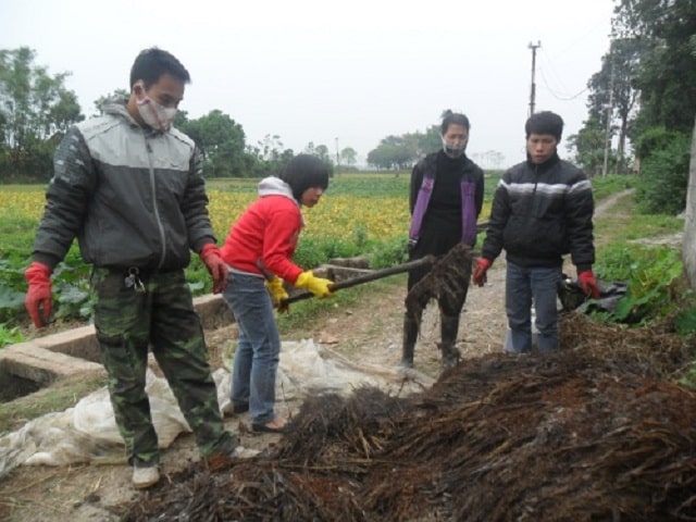 Kiểm tra chất lượng sau khi hoàn tất thời gian ủ phân