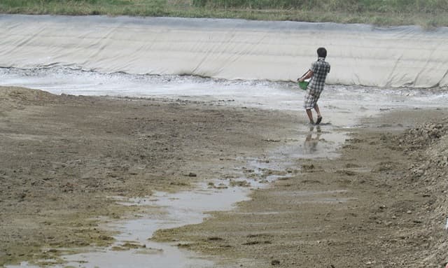 Việc xử lý ao nuôi luôn là một trong những bước cơ bản và quan trọng mà bạn nên thực hiện trước tiên