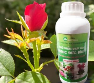 Chế phẩm đạm cá Humic Đức Bình