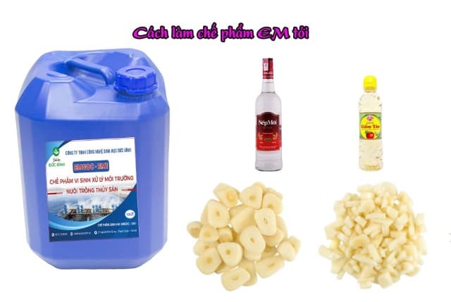 Chế phẩm sẽ tăng cường hiệu quả của thức ăn.