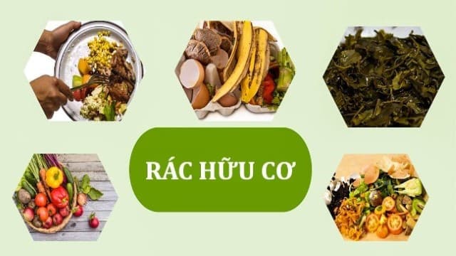 Hãy dùng thực phẩm nhiều hữu cơ để dẫn dụ.