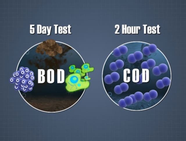 Ảnh 3: Phương pháp thử nghiệm với chỉ số BOD là gì? (Nguồn: Internet)