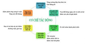 Cơ chế hoạt động của chế phẩm sinh học