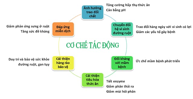 Cơ chế hoạt động của chế phẩm sinh học