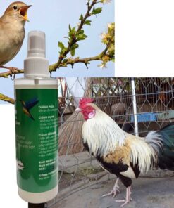KHỬ MÙI HÔI CHIM CẢNH - GÀ CẢNH