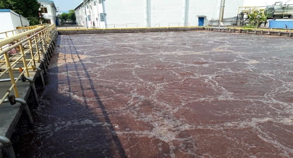 Bùn vi sinh là gì? Cơ chế dùng - Cách khắc phục sự cố