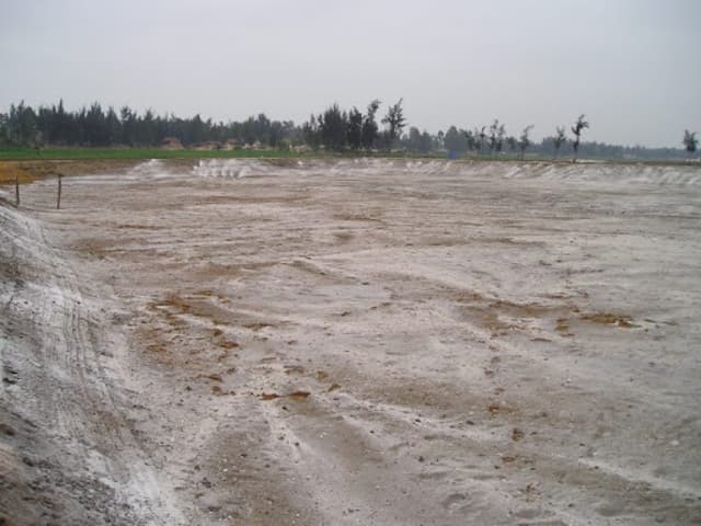 Kỹ thuật nuôi tôm thẻ chân trắng - cải tạo ao nuôi tôm thẻ chân trắng