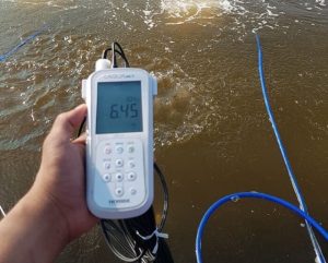 Phương pháp điện cực oxy hòa tan đánh giá chỉ số DO