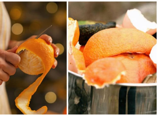 Sử dụng vỏ cam đặt quanh khu vườn là cách diệt ốc sên vô cùng đơn giản