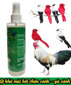 XỊT KHỬ MÙI HÔI CHIM CẢNH GÀ CẢNH