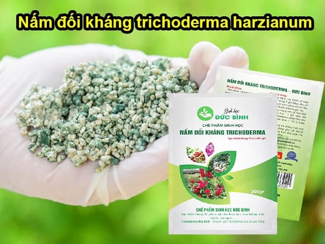 Mách bạn dòng chế phẩm sinh học nên dùng trong phương pháp trồng rau hữu cơ