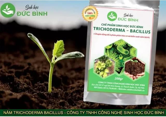 Mua chế phẩm sinh học chính hãng, đảm bảo chất lượng an tâm khi sử dụng