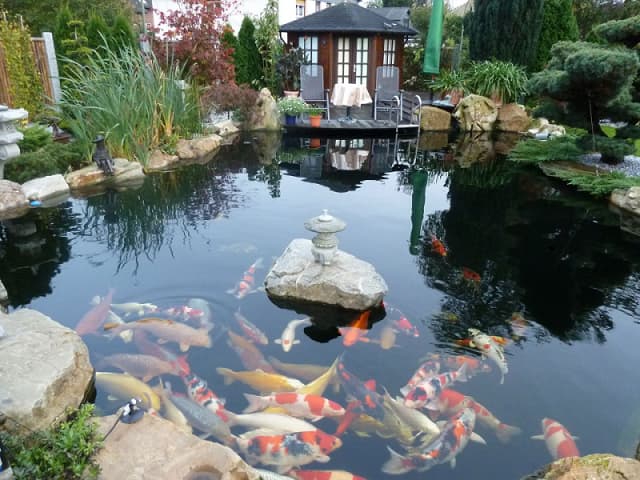 Công dụng của vi sinh vật trong môi trường nước là gì?