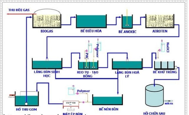 Cách xử lý nước thải chăn nuôi heo bằng công nghệ sinh học khí biogas