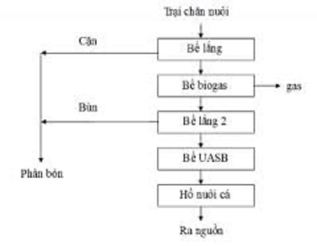 Sơ đồ cách xử lý nước thải chăn nuôi heo bằng hệ thống bể UASB