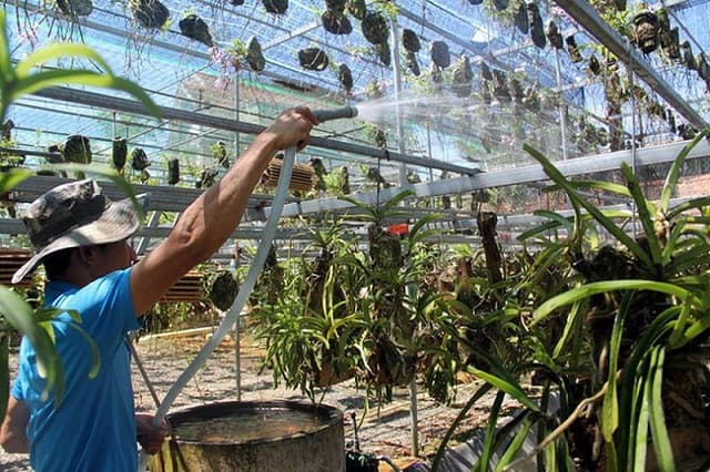 Sử dụng nguồn nước thích hợp để giúp hoa có nhiều dưỡng chất