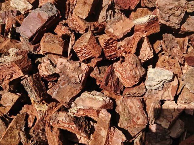 Vỏ thông trồng lan được sử dụng nhiều vì hiệu quả