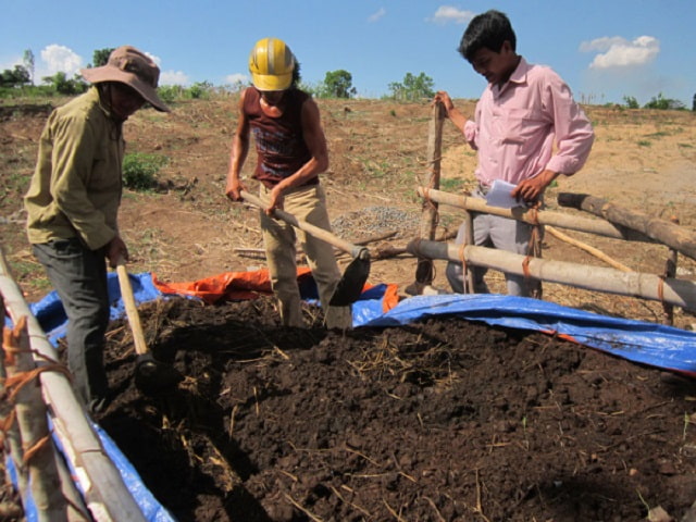 Hướng dẫn ủ phân chuồng hoai mục