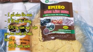 Công thức và cách ủ cám cho heo ăn từ phế phẩm nông nghiệp