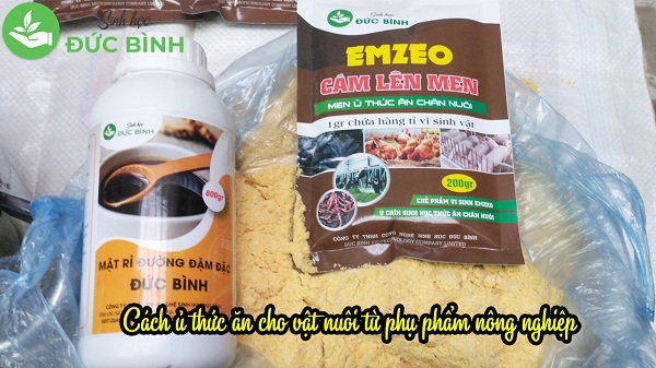 Phương pháp ủ bằng men sinh vật có rất nhiều lợi ích