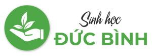 Chế phẩm vi sinh Đức Bình