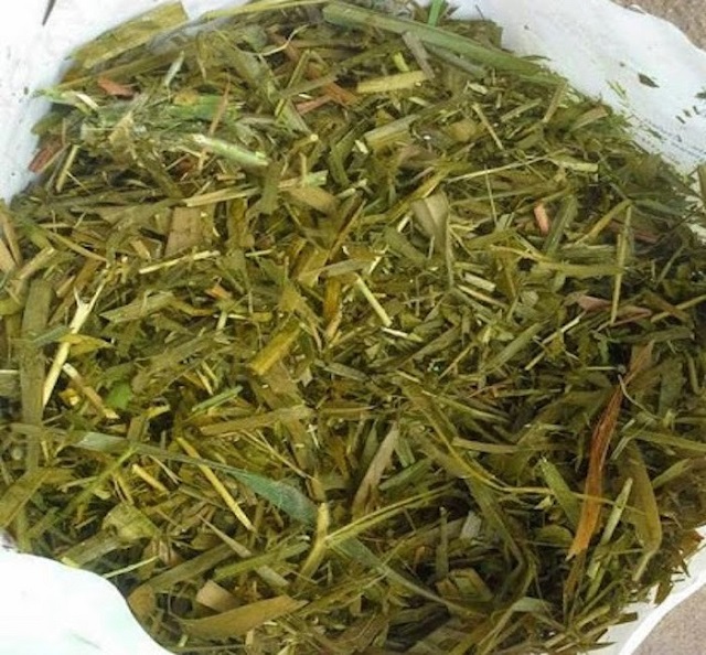 Phương pháp này giúp người chăn nuôi tận dụng tối đa nguồn thức ăn thô