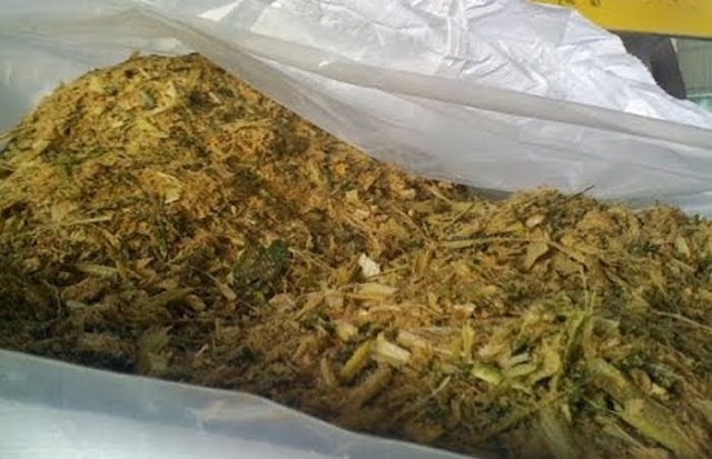 Ủ thức ăn cho heo là một phương pháp được ứng dụng rất phổ biến trong chăn nuôi