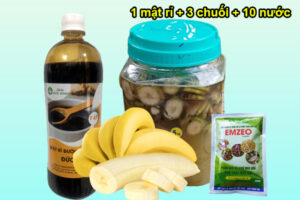 Cách làm GE chuối tưới cây đơn giản, dễ thực hiện