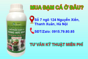 Mua đạm cá ở đâu giá rẻ, chất lượng, uy tín, chính hãng