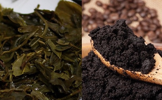 Bã trà bón cây làm giảm độ pH trong đất