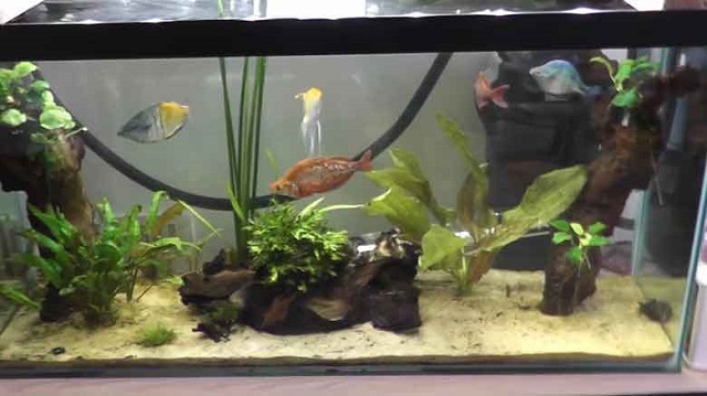 Cách xử lý nước bằng than hoạt tính rất đơn giản