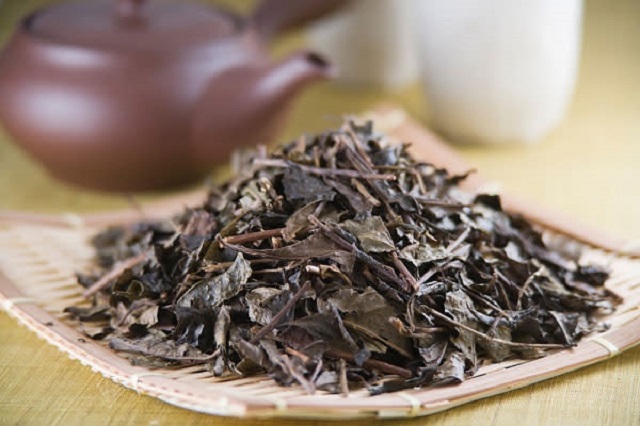 Dùng bã trà phơi khô bón trực tiếp cho cây