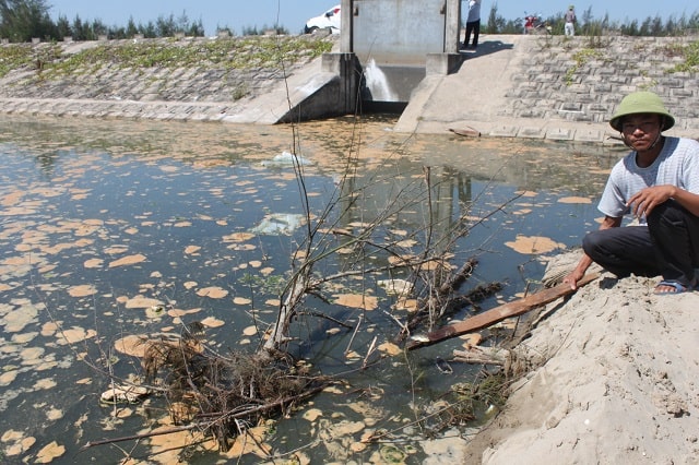 Không có cách xử lý nước ao cá bị ô nhiễm kịp thời có thể khiến chúng ta mất trắng