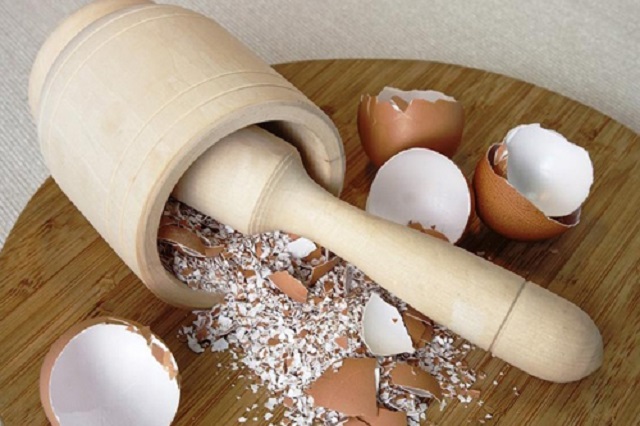 Nên đập vỡ vỏ trứng trước khi bón cho cây
