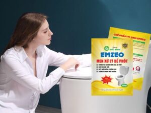 Nguyên nhân và cách xử lý nhà vệ sinh bị hôi triệt để