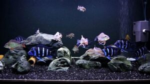 Than hoạt tính giúp lọc nước hiệu quả hơn