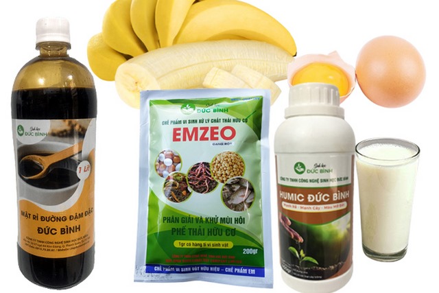 Nguyên liệu để làm phân trứng sữa