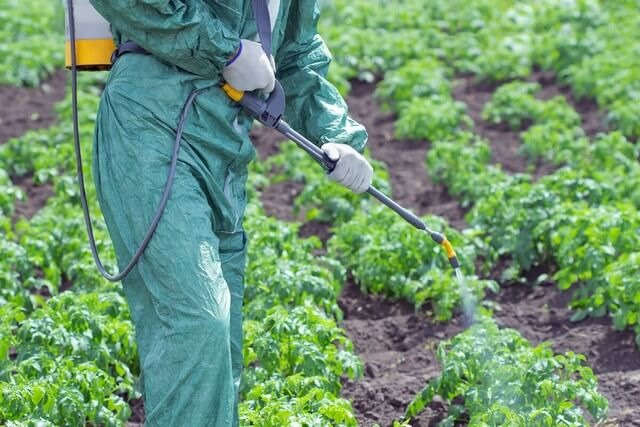 Tìm hiểu về phân bón lá