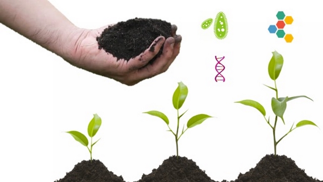 Phân vi sinh vật phân giải chất hữu cơ là gì?