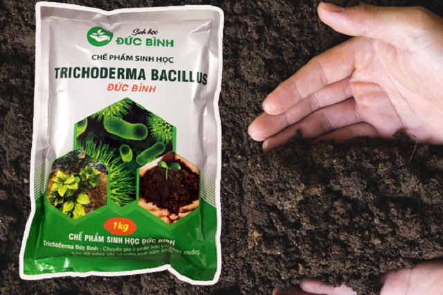 Nên dùng thêm phân vi sinh hoặc chế phẩm sinh học làm phân bón cây