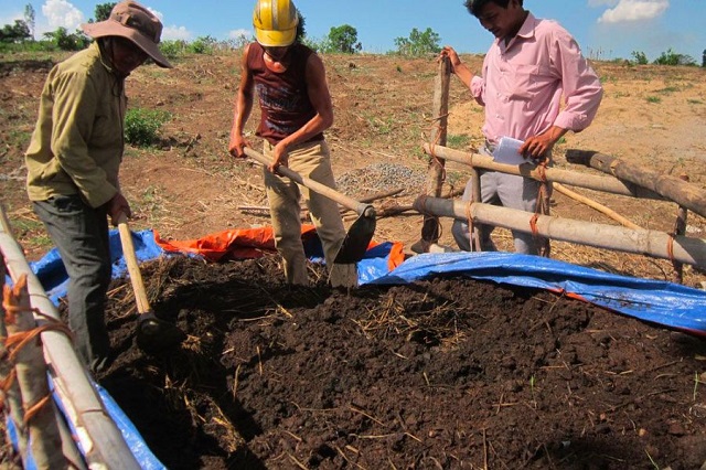 Cách ủ phân chuồng tại nhà