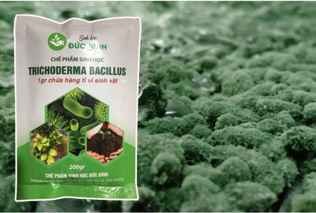 Ứng dụng chế phẩm sinh học trong trồng trọt