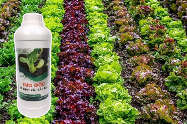 Chế phẩm sinh học mang lại nhiều lợi ích cho cây trồng