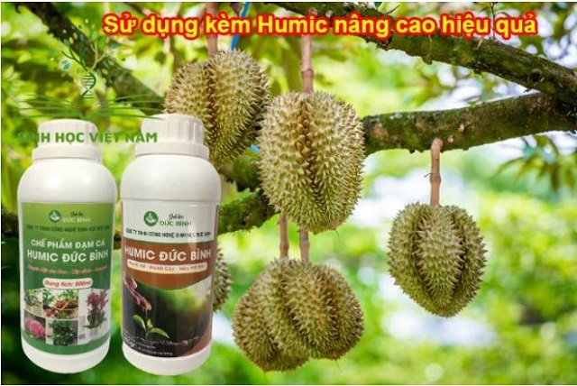 Vai trò của chế phẩm sinh học trong nông nghiệp